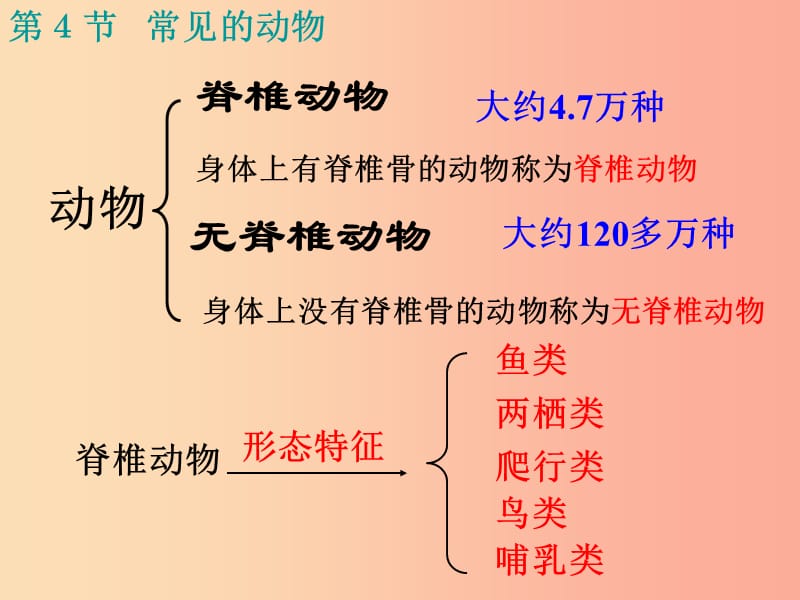 浙江省七年级科学上册 第2章 观察生物 第4-6节 复习课件（新版）浙教版.ppt_第3页