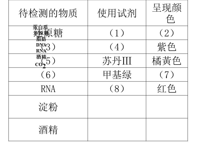 人教版新课标高一上期考复习.ppt_第2页