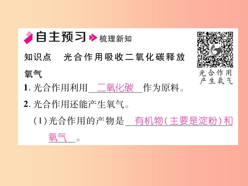 2019年七年级生物上册 3.5.1 光合作用吸收二氧化碳释放氧气习题课件 新人教版.ppt_第2页