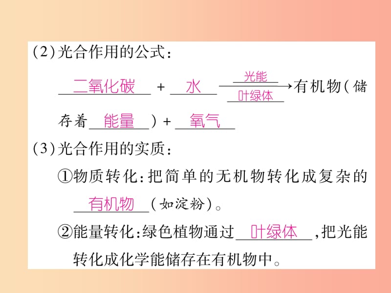 2019年七年级生物上册 3.5.1 光合作用吸收二氧化碳释放氧气习题课件 新人教版.ppt_第3页