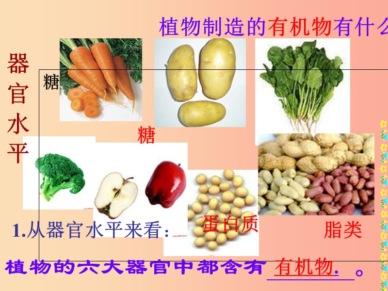 吉林省长春市七年级生物上册 第三单元 第四章《绿色植物对有机物的利用》课件 新人教版.ppt_第3页