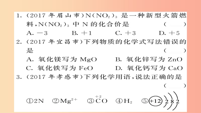 2019年中考化学总复习 第二轮 专题训练 提升能力 专题一 化学用语练习课件.ppt_第2页