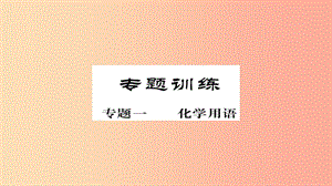 2019年中考化學(xué)總復(fù)習(xí) 第二輪 專題訓(xùn)練 提升能力 專題一 化學(xué)用語練習(xí)課件.ppt