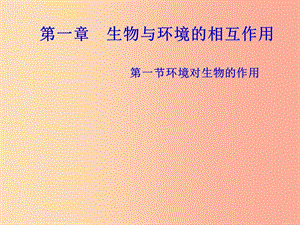 山東省八年級(jí)生物下冊(cè) 6.1.1《環(huán)境對(duì)生物的作用》課件（新版）濟(jì)南版.ppt