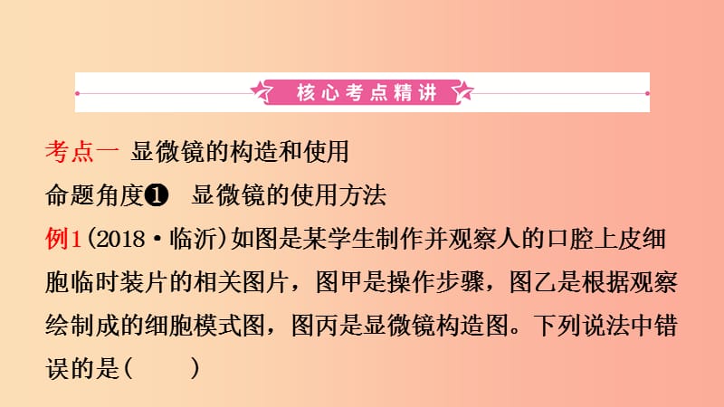 山东省2019年中考生物总复习 第二单元 生物体的结构层次 第一章 细胞是生命活动的基本单位课件.ppt_第2页