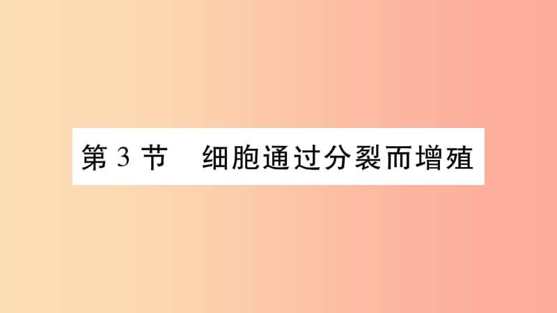 2019秋七年级生物上册第二单元第3章第3节细胞通过分裂而增殖习题课件（新版）北师大版.ppt_第1页