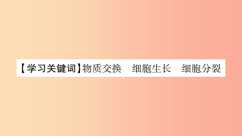 2019秋七年级生物上册第二单元第3章第3节细胞通过分裂而增殖习题课件（新版）北师大版.ppt_第2页