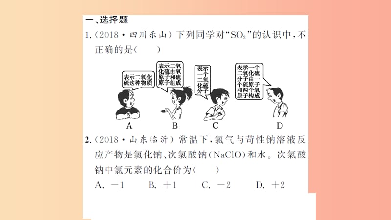 湖北省2019中考化学一轮复习 课后训练八 化学式与化合价习题课件.ppt_第2页