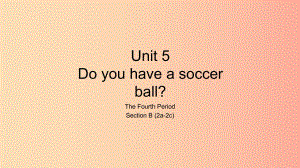 七年級英語上冊 Unit 5 Do you have a soccer ball The Fourth Period Section B（2a-2c）課件 新人教版.ppt