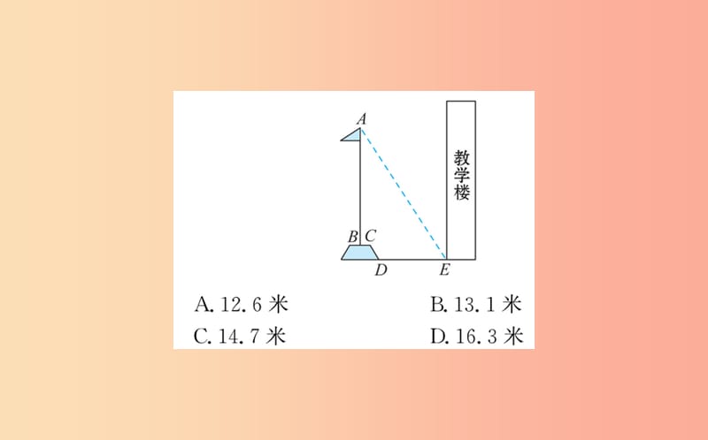 2019版九年级数学下册第一章直角三角形的边角关系1.6利用三角函数测高训练课件（新版）北师大版.ppt_第3页