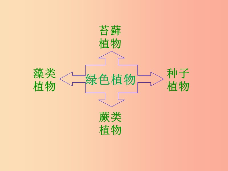 七年级生物上册 2.1.1《绿色植物的主要类群》第一课时课件 （新版）济南版.ppt_第2页