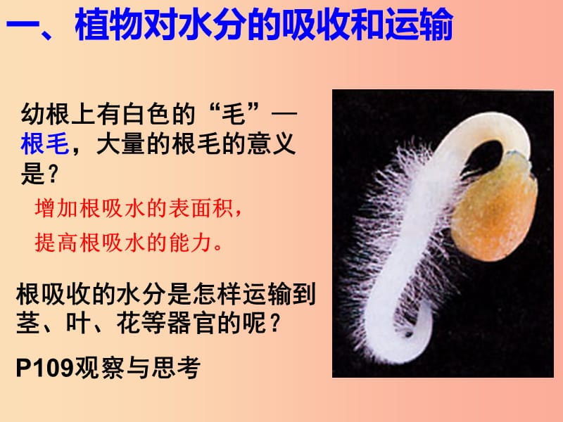 吉林省七年级生物上册 3.3绿色植物与生物圈的水循环课件 新人教版.ppt_第2页