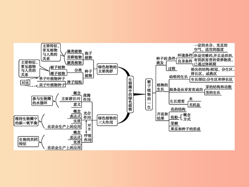 中考生物 专题3 生物圈中的绿色植物课件.ppt_第2页