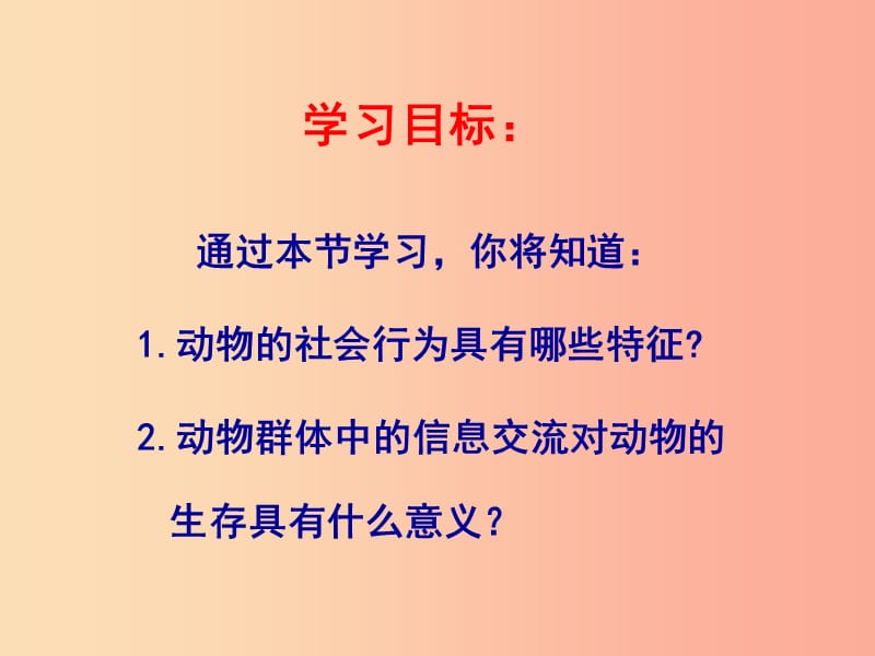 八年级生物上册5.2.3社会行为课件2 新人教版.ppt_第2页