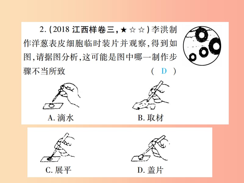 中考（江西专用）2019中考生物 专项提升突破篇 专题二 图象曲线题课件.ppt_第3页