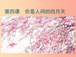 2019年九年級(jí)語(yǔ)文上冊(cè) 第一單元 4 你是人間的四月天教學(xué)課件 新人教版.ppt