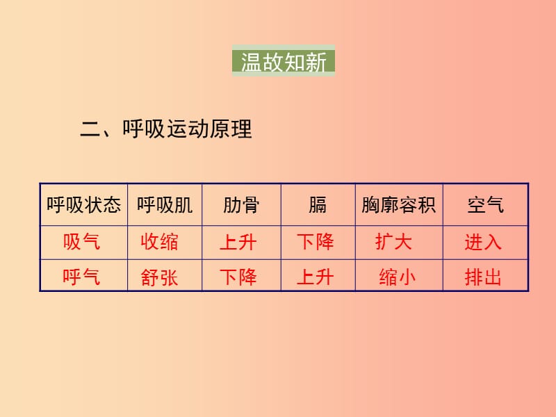 七年级生物上册3.7.2人体的呼吸第2课时课件新版苏科版.ppt_第3页