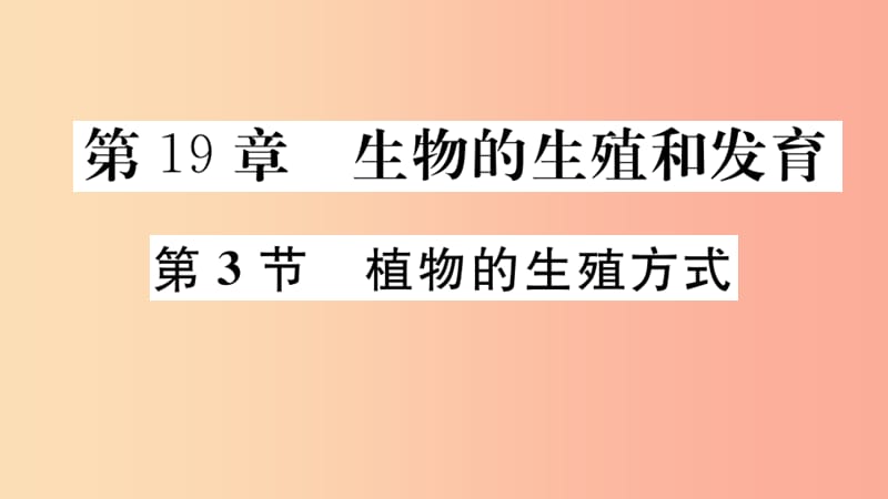 八年级生物上册第6单元第19章第3节植物的生殖方式习题课件（新版）北师大版.ppt_第2页