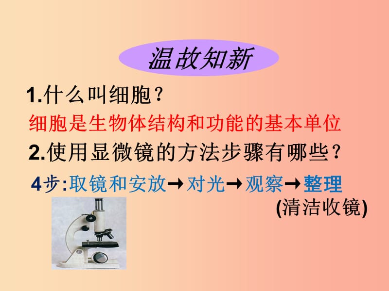 2019-2020年七年级生物上册 第二单元 第一章 第二节植物细胞课件 新人教版.ppt_第2页