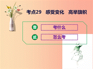 2019中考道德與法治二輪復習 考點29 感受變化 高舉旗幟課件.ppt