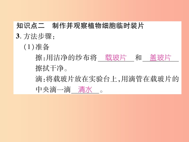 2019年七年级生物上册 2.1.2 植物细胞习题课件 新人教版.ppt_第3页