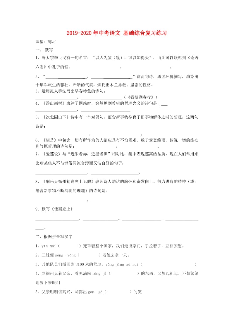 2019-2020年中考语文 基础综合复习练习.doc_第1页