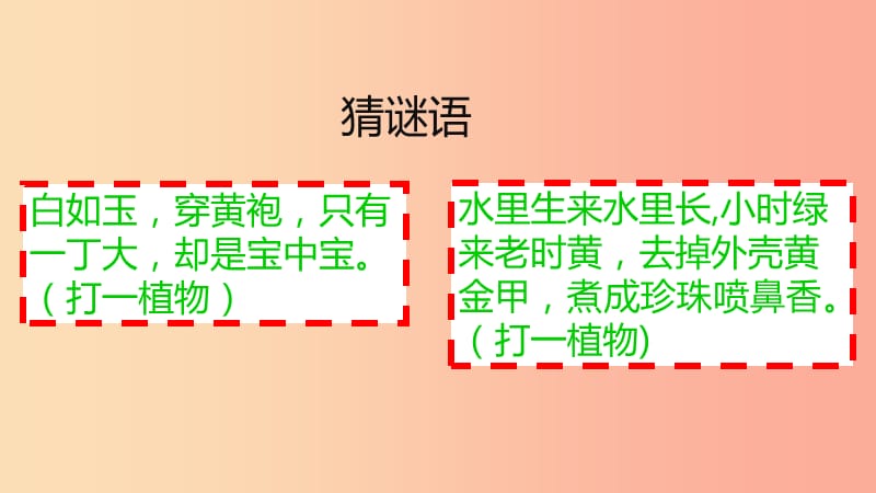 七年级历史上册 第一单元 史前时期 中国境内人类的活动 第2课《原始农耕生活》课件 新人教版.ppt_第2页