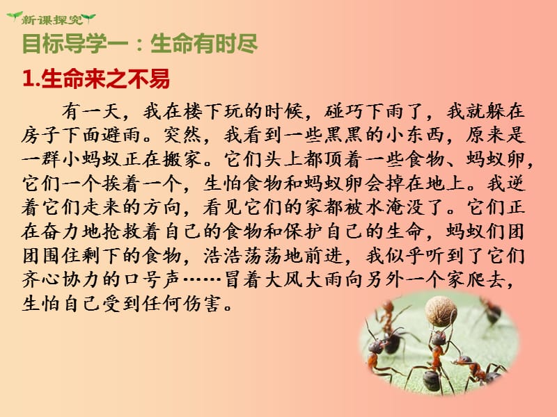 2019年七年级道德与法治上册 第四单元 生命的思考 第八课 探问生命 第1框 生命可以永恒吗课件 新人教版.ppt_第3页