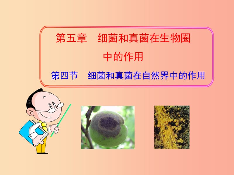 吉林省通化市八年级生物上册5.4.4细菌和真菌在生物圈中的作用课件 新人教版.ppt_第1页