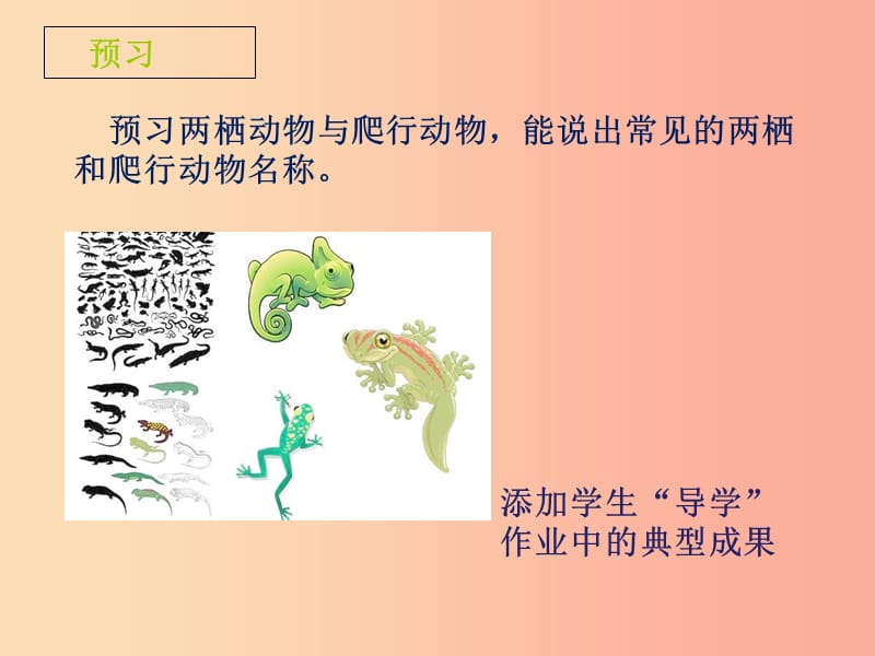 山东省七年级生物上册 2.2.2《脊椎动物的主要类群》（第2课时）课件（新版）济南版.ppt_第2页