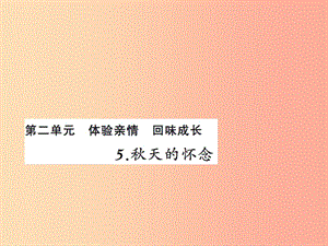 2019年秋七年級語文上冊 第二單元 5秋天的懷念習(xí)題課件 新人教版.ppt