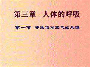 安徽省七年級(jí)生物下冊(cè) 4.3.1 呼吸道對(duì)空氣的處理課件1 新人教版.ppt