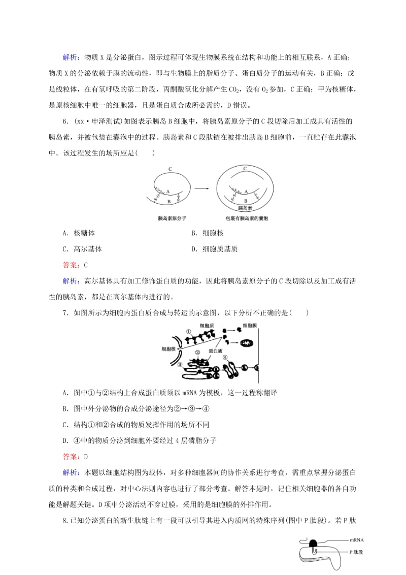 2019-2020年高考生物一轮复习 第6讲 细胞器 系统内的分工合作.doc_第3页