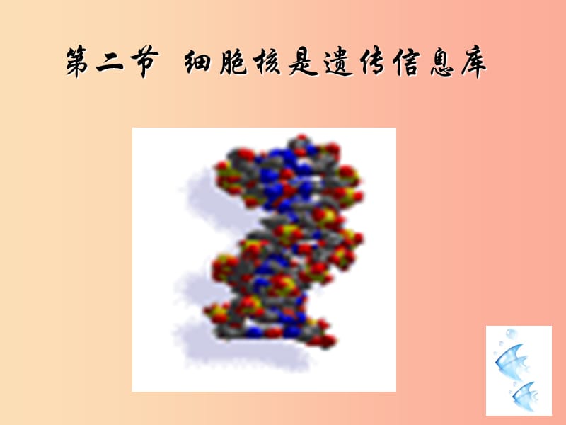 吉林省长春市七年级生物上册 第二单元 第二章 第二节《细胞核是遗传信息库》课件2 新人教版.ppt_第1页