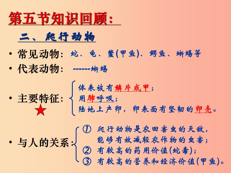 八年级生物上册 5.1.6《鸟》课件2 新人教版.ppt_第3页