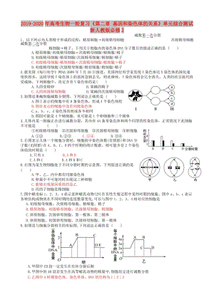 2019-2020年高考生物一輪復(fù)習(xí)《第二章 基因和染色體的關(guān)系》單元綜合測試 新人教版必修2.doc