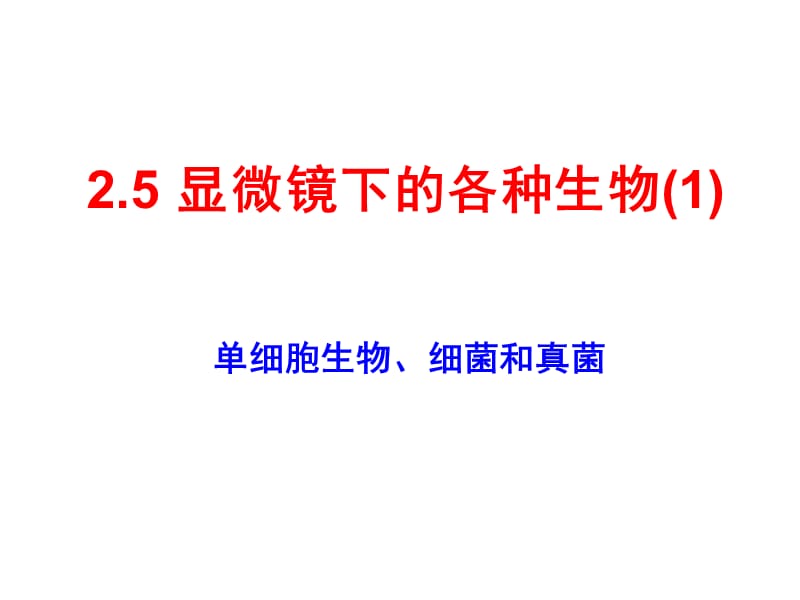 单细胞生物、细菌、真菌(赵).ppt_第2页