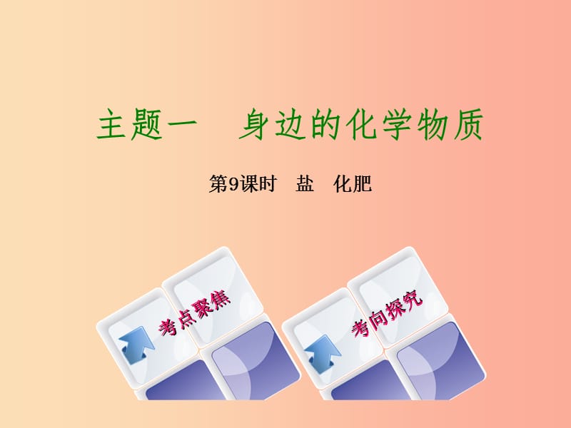 湖南省2019年中考化学复习 主题一 身边的化学物质 第9课时 盐 化肥课件.ppt_第1页