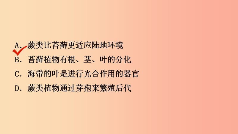 山东省2019年中考生物总复习 第三单元 生物圈中的绿色植物 第一章 生物圈中有哪些绿色植物课件.ppt_第3页