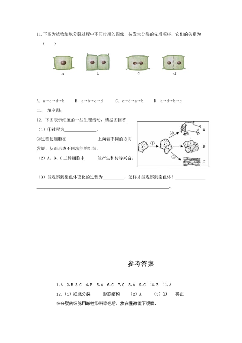 2019-2020年七年级生物上册2.4.3《细胞的分裂与分化》课时训练（新版）苏教版.doc_第2页