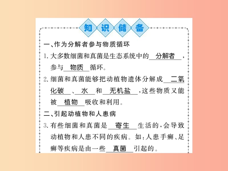 2019年八年级生物上册第五单元第4章第4节细菌和真菌在自然界中的作用习题课件 新人教版.ppt_第2页