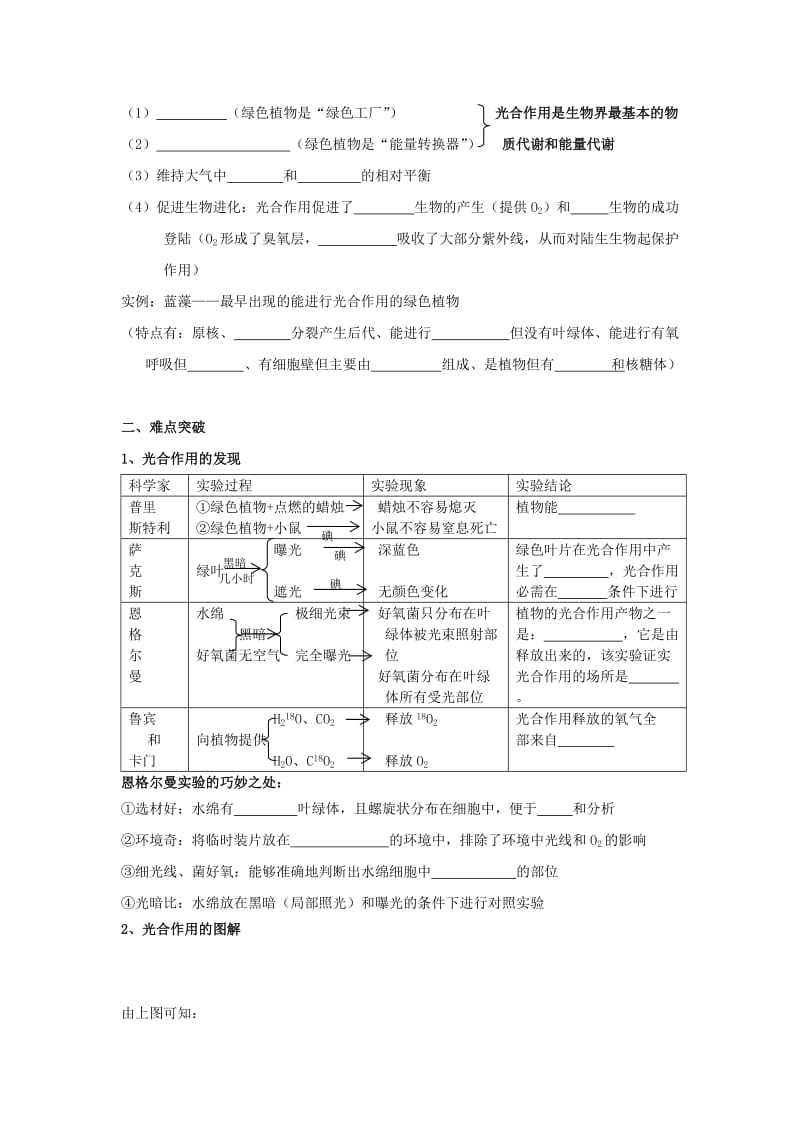 2019-2020年高考生物 基础冲刺 光合作用复习教案.doc_第2页