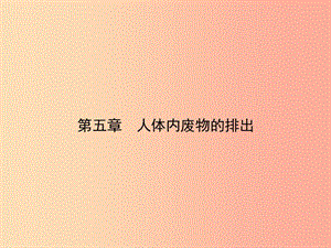 七年級生物下冊第四單元第五章人體內(nèi)廢物的排出習(xí)題課件 新人教版.ppt