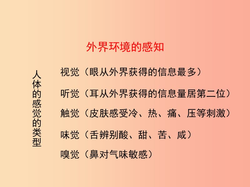 河南省荥阳市七年级生物下册 4.6.1人体对外界环境的感知（第1课时）课件 新人教版.ppt_第3页