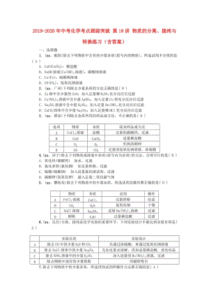 2019-2020年中考化學(xué)考點(diǎn)跟蹤突破 第18講 物質(zhì)的分離、提純與轉(zhuǎn)換練習(xí)（含答案）.doc