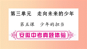 安徽省2019屆中考道德與法治總復(fù)習(xí) 九下 第3單元 走向未來的少年 第5課 少年的擔(dān)當(dāng)考點(diǎn)突破課件.ppt