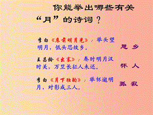 山東省中考語(yǔ)文 水調(diào)歌頭復(fù)習(xí)課件 新人教版.ppt