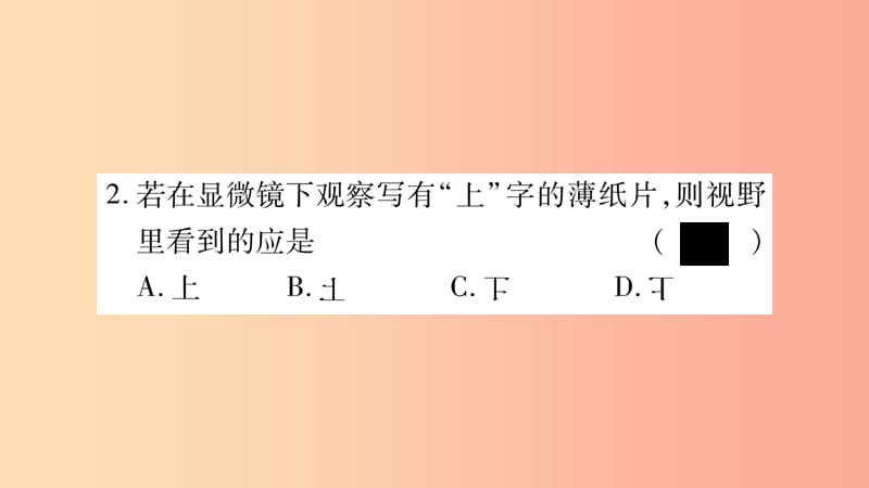 2019年七年级生物上册第2单元生物体的结构期末复习习题课件（新版）北师大版.ppt_第3页