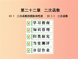 九年級(jí)數(shù)學(xué)上冊(cè) 第二十二章 二次函數(shù) 22.1 二次函數(shù)的圖像和性質(zhì) 22.1.1 二次函數(shù)課件 新人教版.ppt