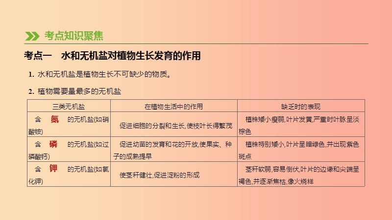 中考生物复习 第三单元 生物从环境中获取物质和能量 第05课时 根的吸收作用和绿色植物的呼吸作用.ppt_第2页